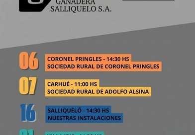 Ganadera Salliquelo: REMATES DE OCTUBRE