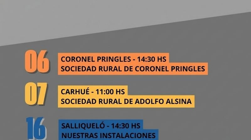 Ganadera Salliquelo: REMATES DE OCTUBRE