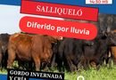 Ganadera Salliquelo: Informa que el remate para Salliquelo fue diferido por lluvia para el 19 de octubre.