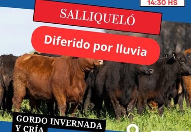 Ganadera Salliquelo: Informa que el remate para Salliquelo fue diferido por lluvia para el 19 de octubre.
