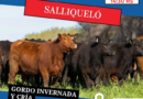 Ganadera Salliquelo: REMATE FERIA EN SALLIQUELÓ