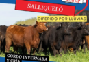 🔔 REPROGRAMACIÓN – REMATE FERIA EN SALLIQUELÓ 🔔