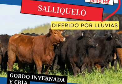 🔔 REPROGRAMACIÓN – REMATE FERIA EN SALLIQUELÓ 🔔