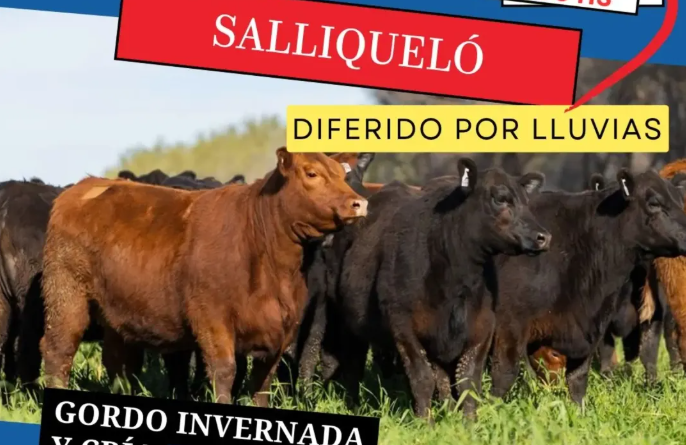 🔔 REPROGRAMACIÓN – REMATE FERIA EN SALLIQUELÓ 🔔
